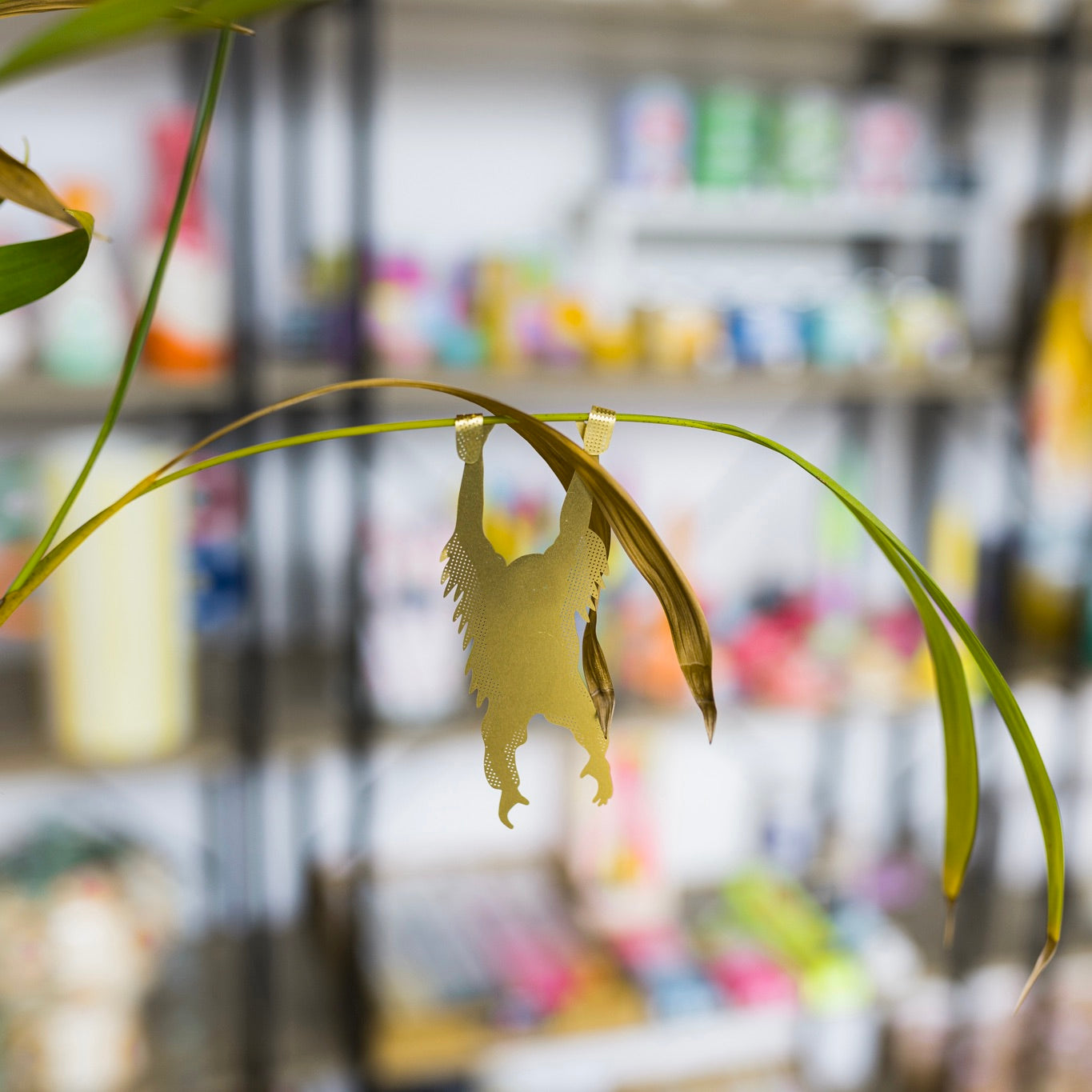 Plantaccessoires