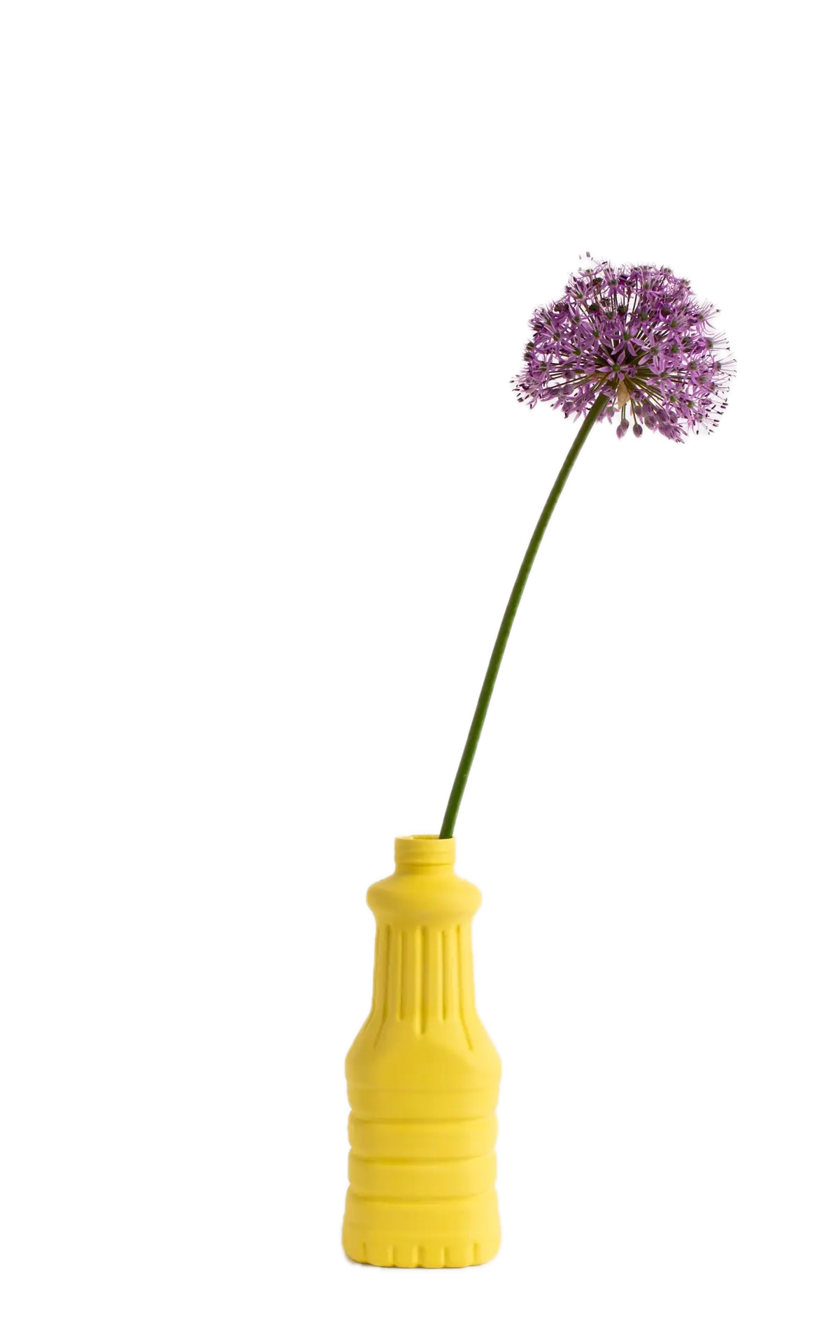 Bottle Vase #22 Sun