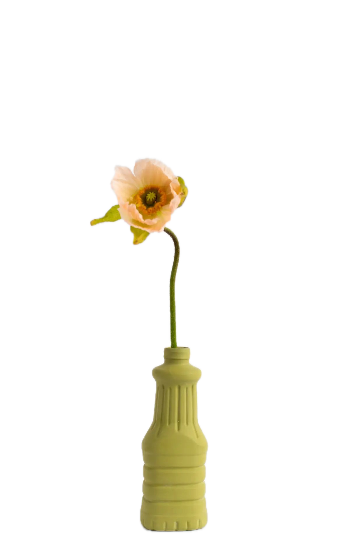 Bottle Vase #22 Moss