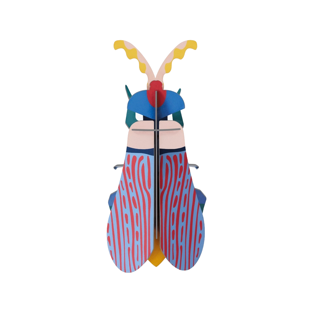 Striped Wing Beetle Studio Roof