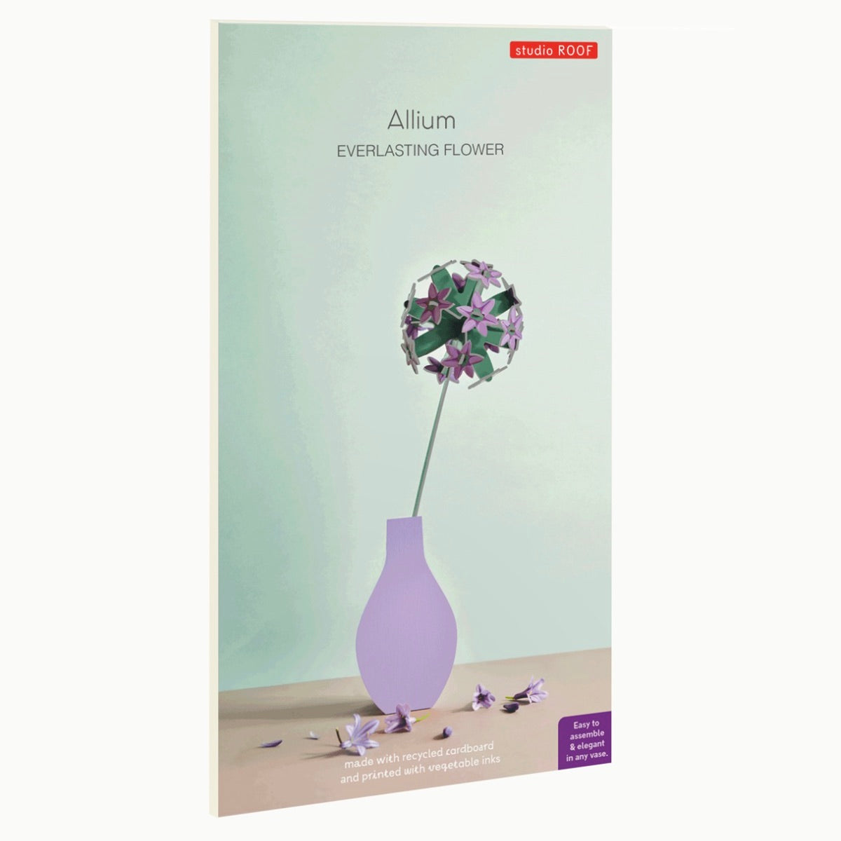 Allium