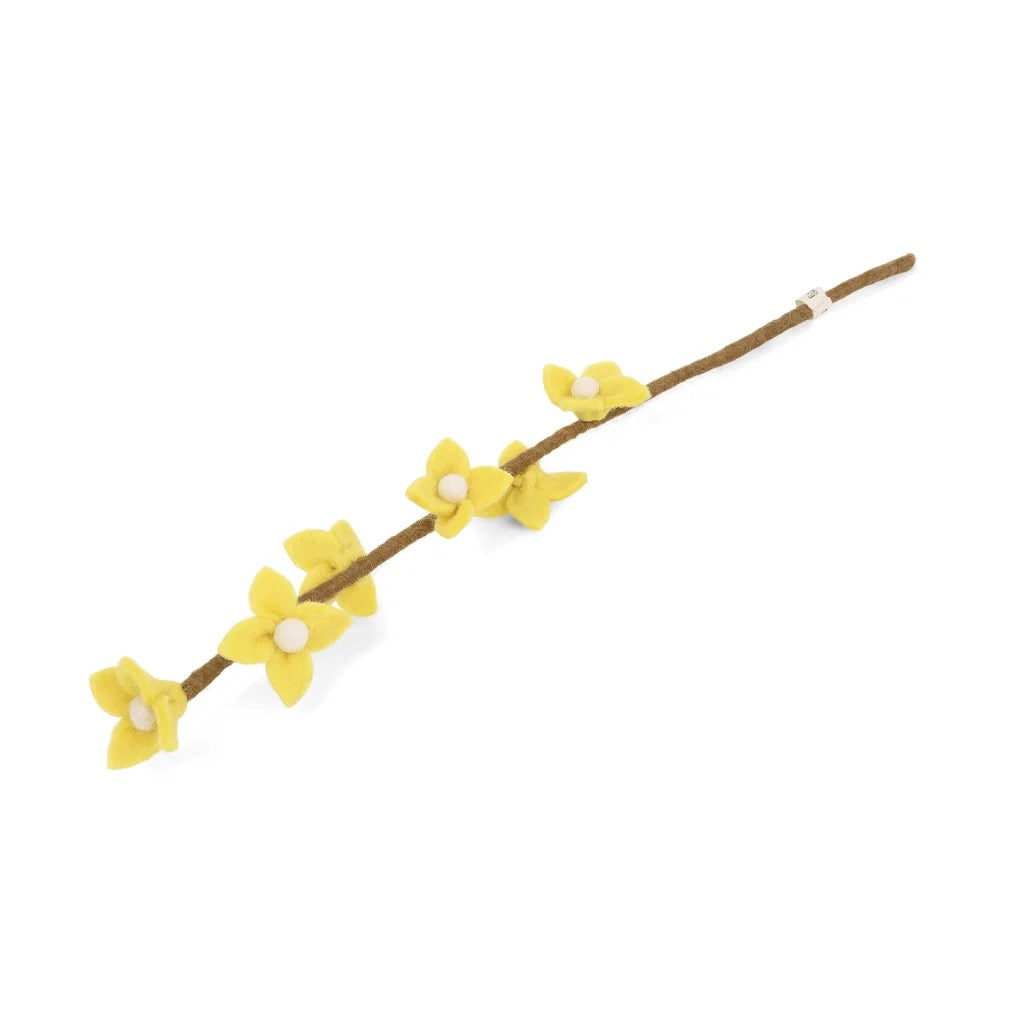 Cherry blossoms on branch