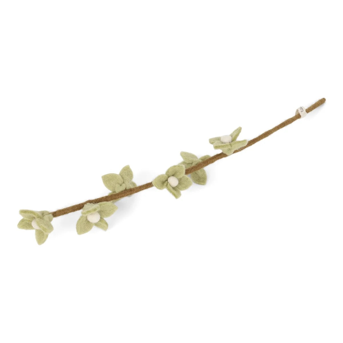Cherry blossoms on branch
