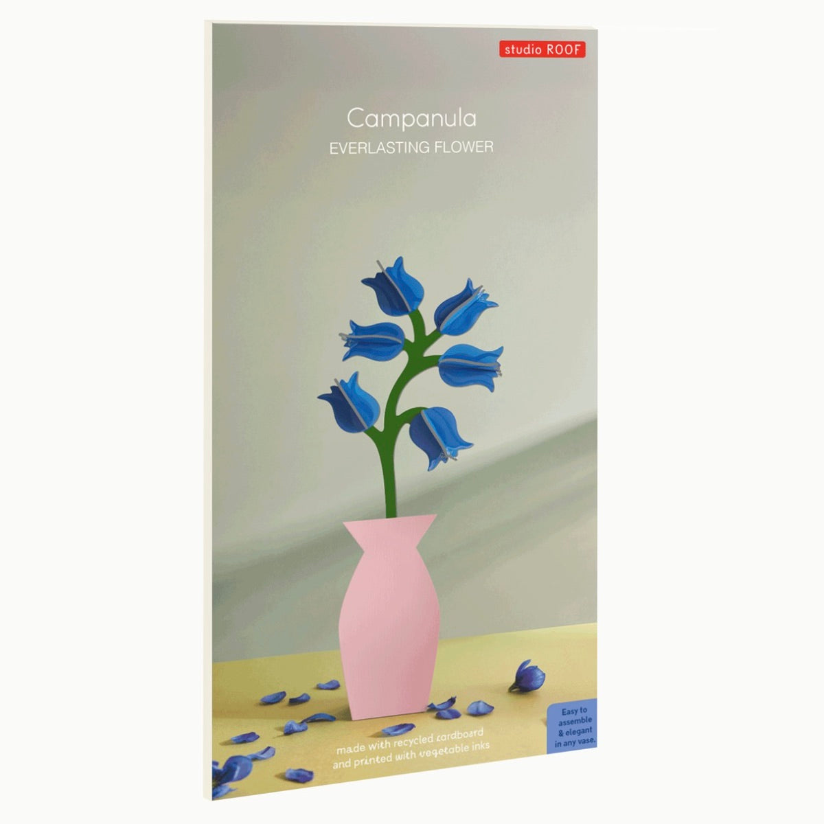 Campanula
