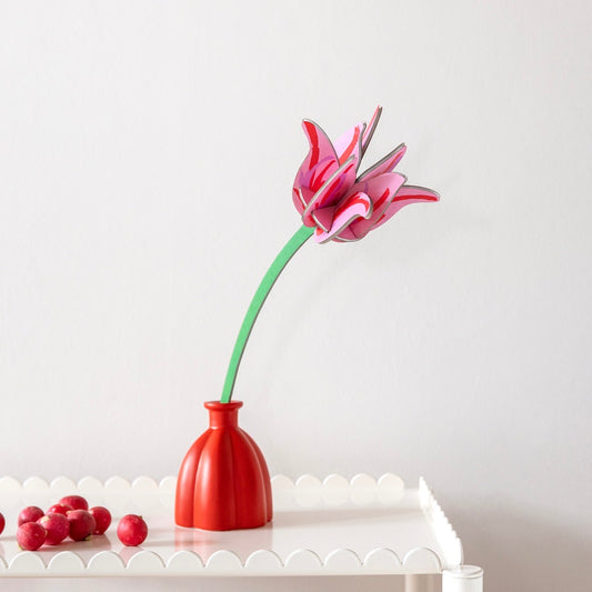 Pink Tulip