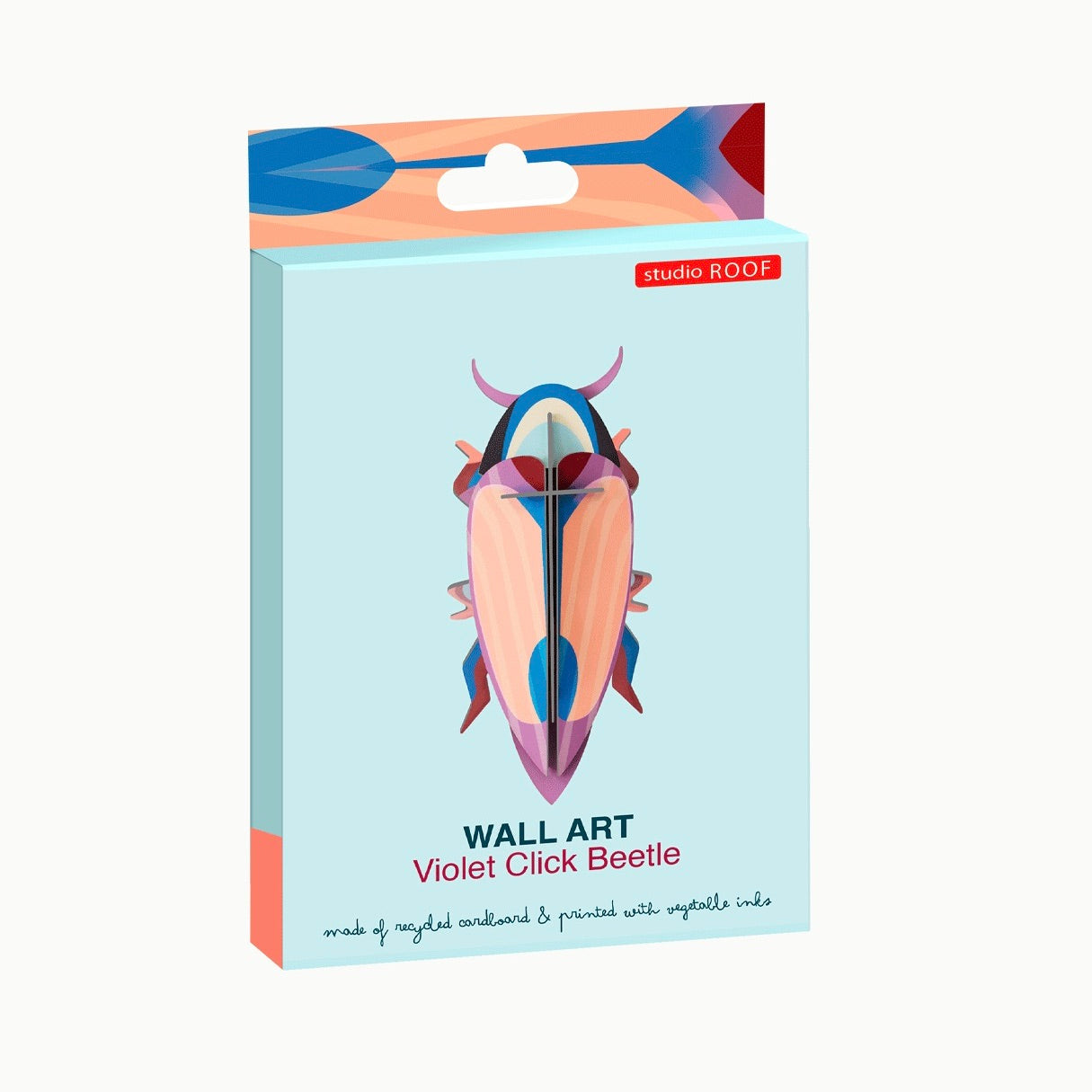 Violet Click Beetle