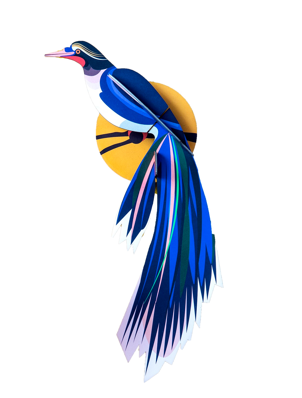 Paradise Bird Flores Studio Roof