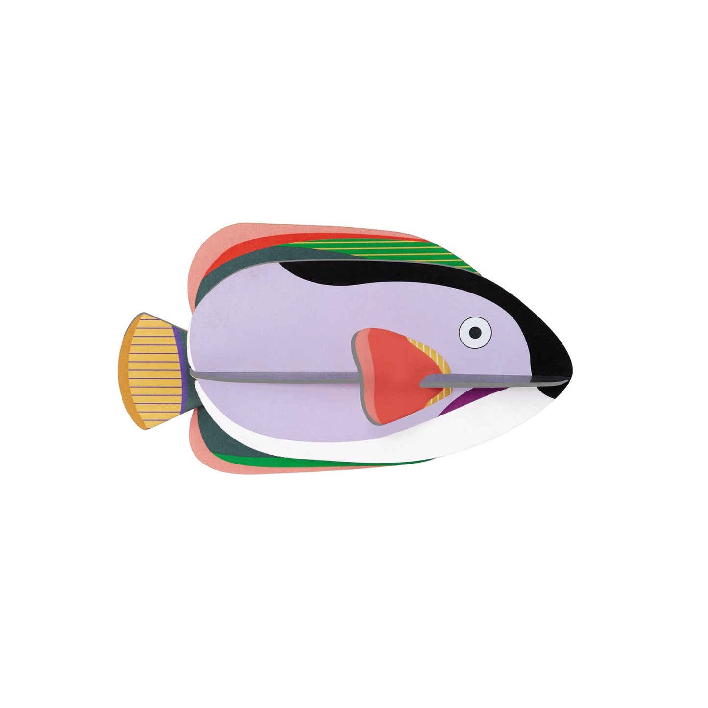 King Angelfish