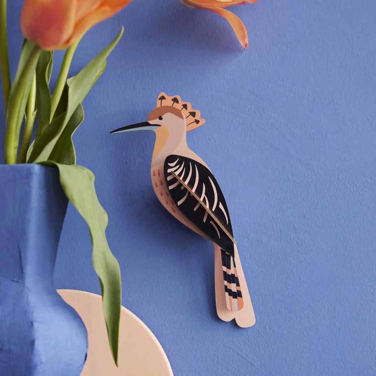 Hoopoe (hop)