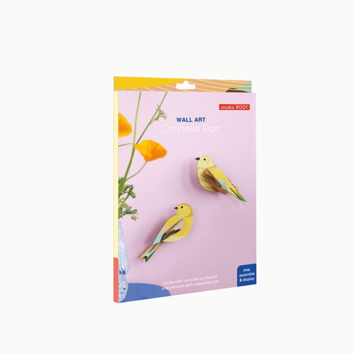 Garden Bird - Citrinella Pair