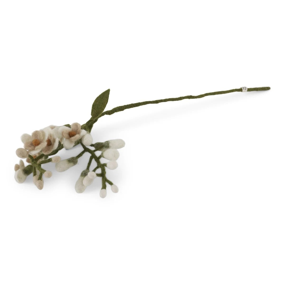Cherry blossoms on branch