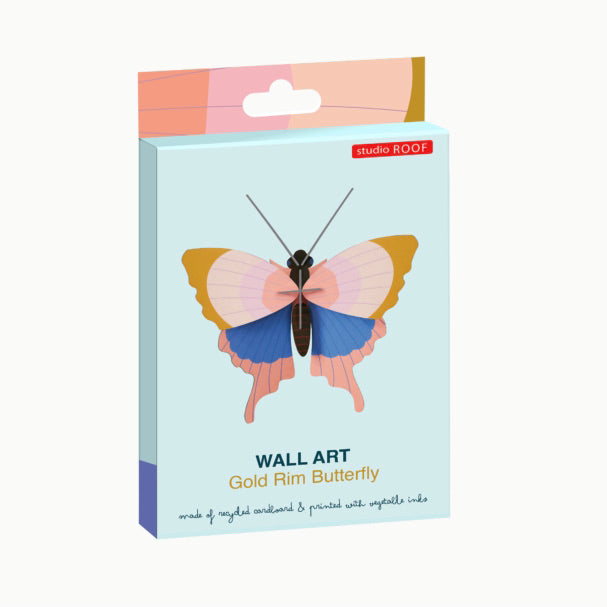 Gold Rim Butterfly