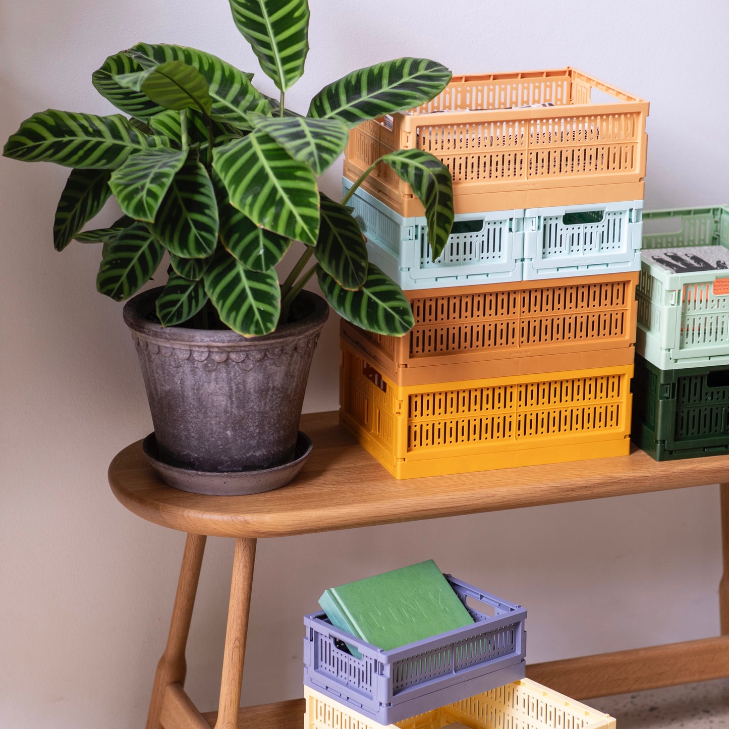 Made Crate Medium - opvouwbare opbergkrat van 100% gerecycled plastic