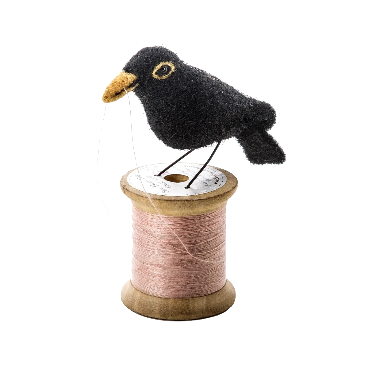 Merle sur bobine de fil