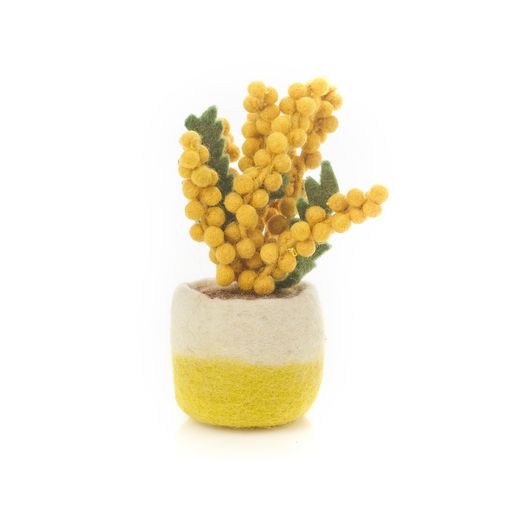 Happy Houseplant - Sunshine Bloom