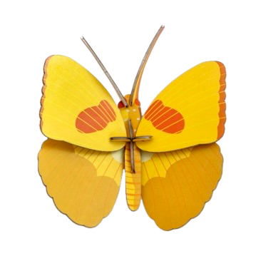 Yellow Butterfly