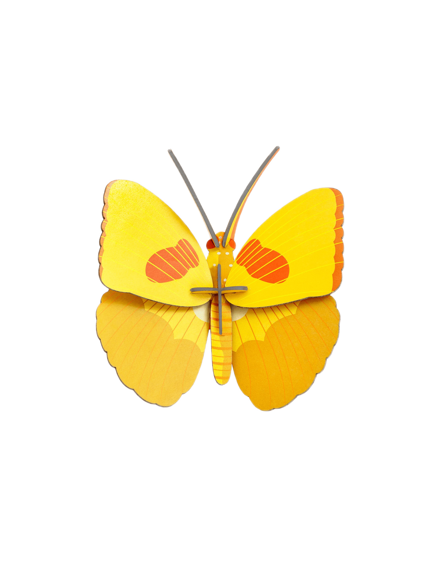 Yellow Butterfly