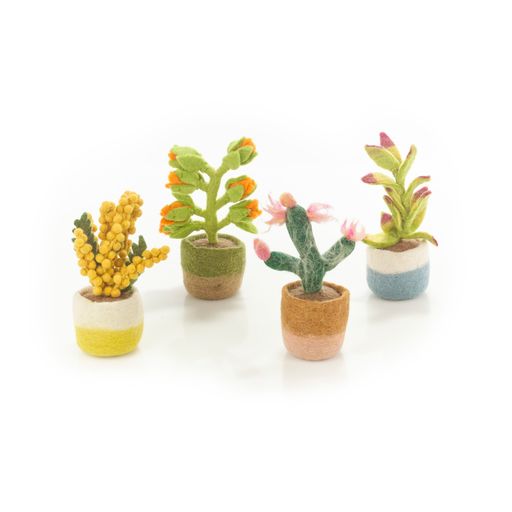 Plante d'intérieur heureuse - Fleur d'oranger