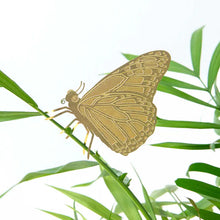Afbeelding in Gallery-weergave laden, Plant Animal: Butterfly
