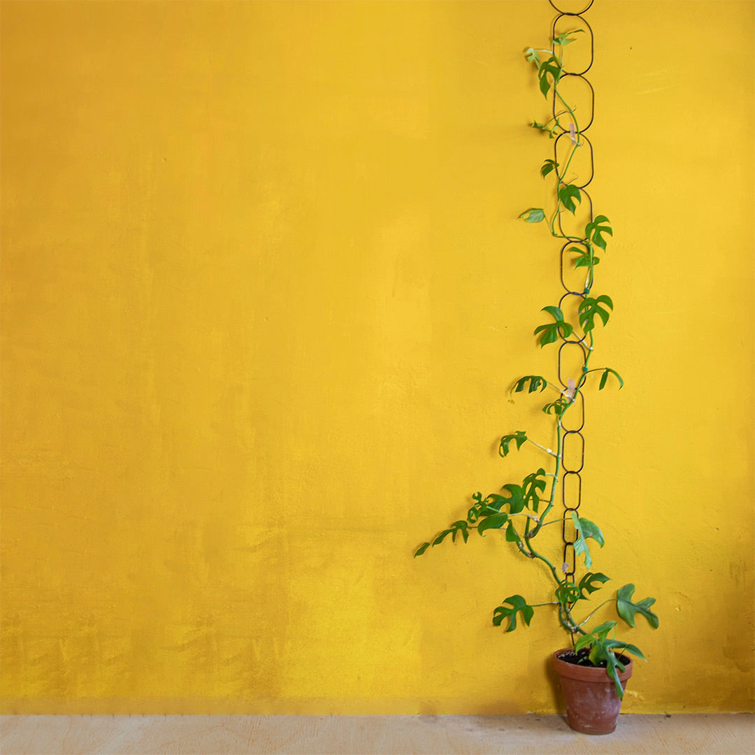 Climbing plant support- black