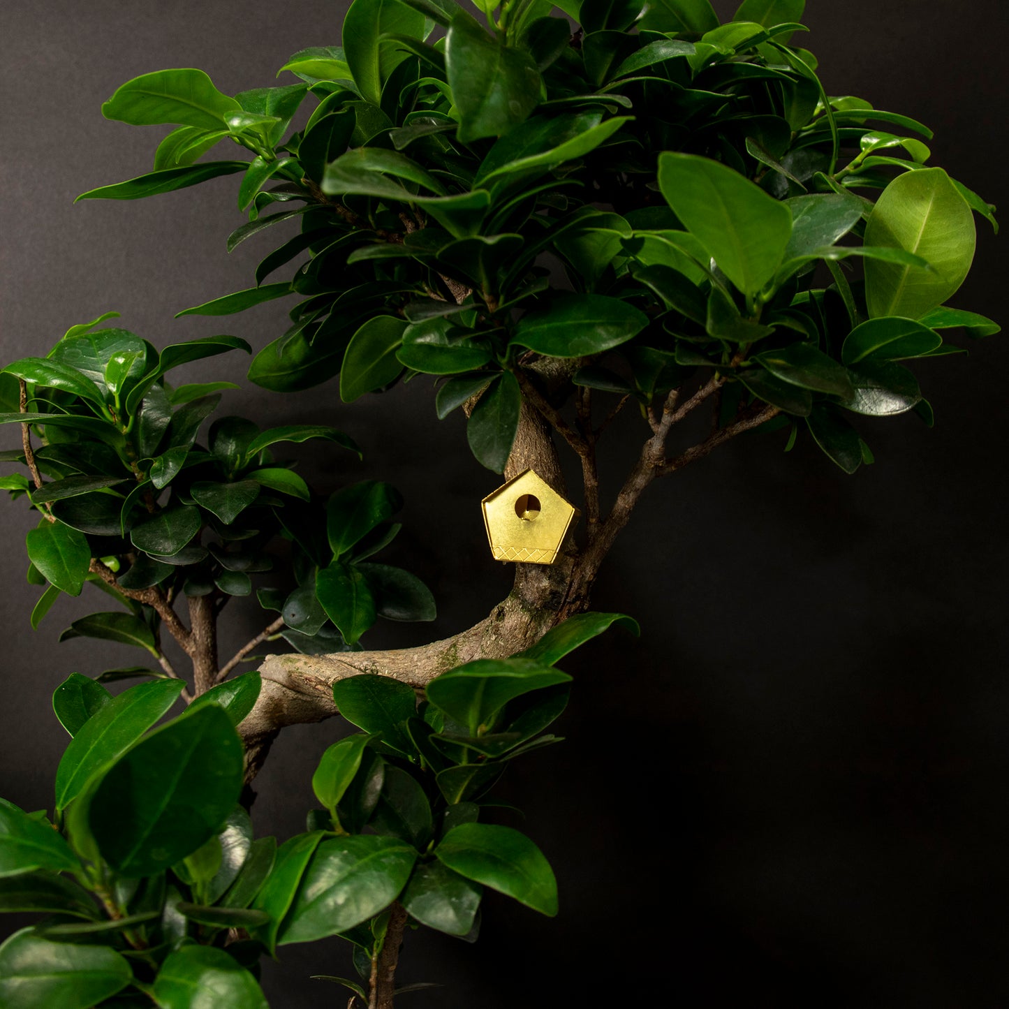 Tiny Birdhouse