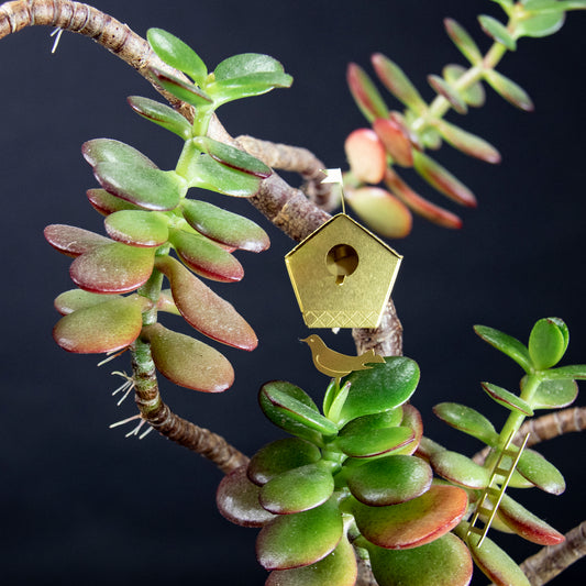 Tiny Birdhouse