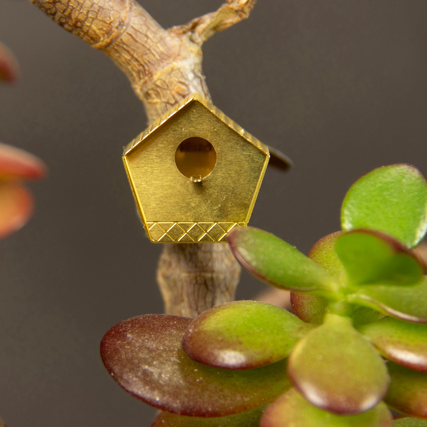 Tiny Birdhouse
