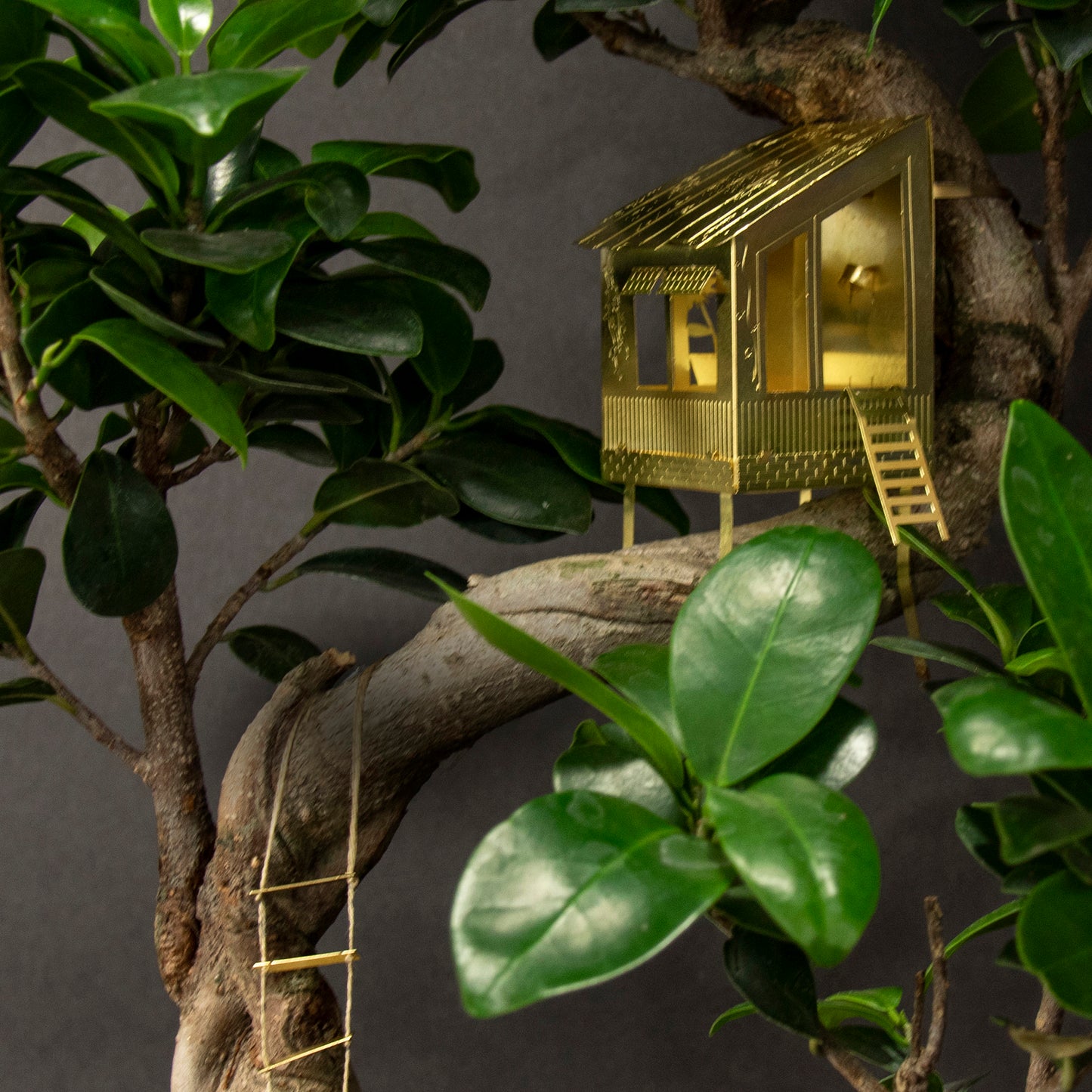 Tiny Treehouse