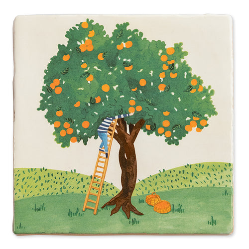 StoryTile Fruit picking. Siertegel met daarop een man dop een ladder tegen een sinaasappelboom die sinaasappels plukt. Lekker zomerse tegel! 