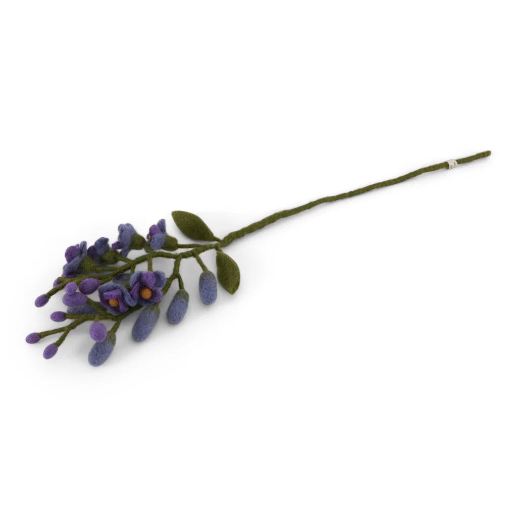 Wisteria (Blauwe Regen) donkerpaars