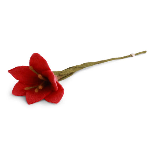 Trumpet Lily Flower - felroze