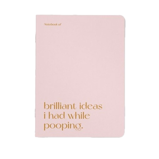 Schrift 'brilliant ideas I had while pooping.'