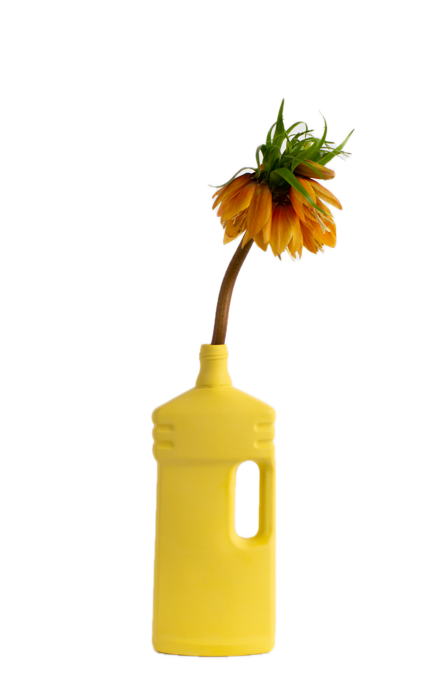Bottle Vase #20 Sun
