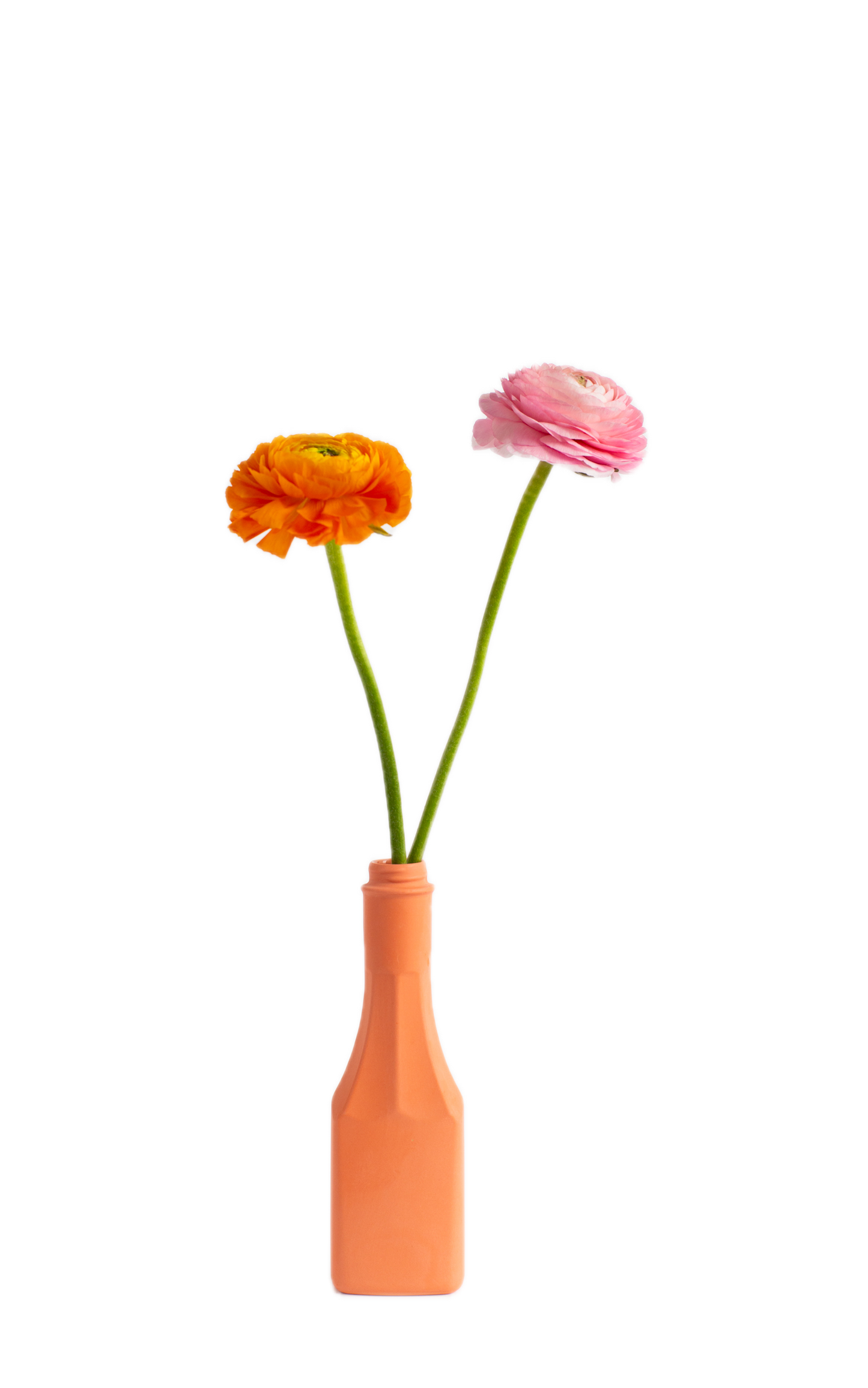 Bottle Vase #25 Salmon