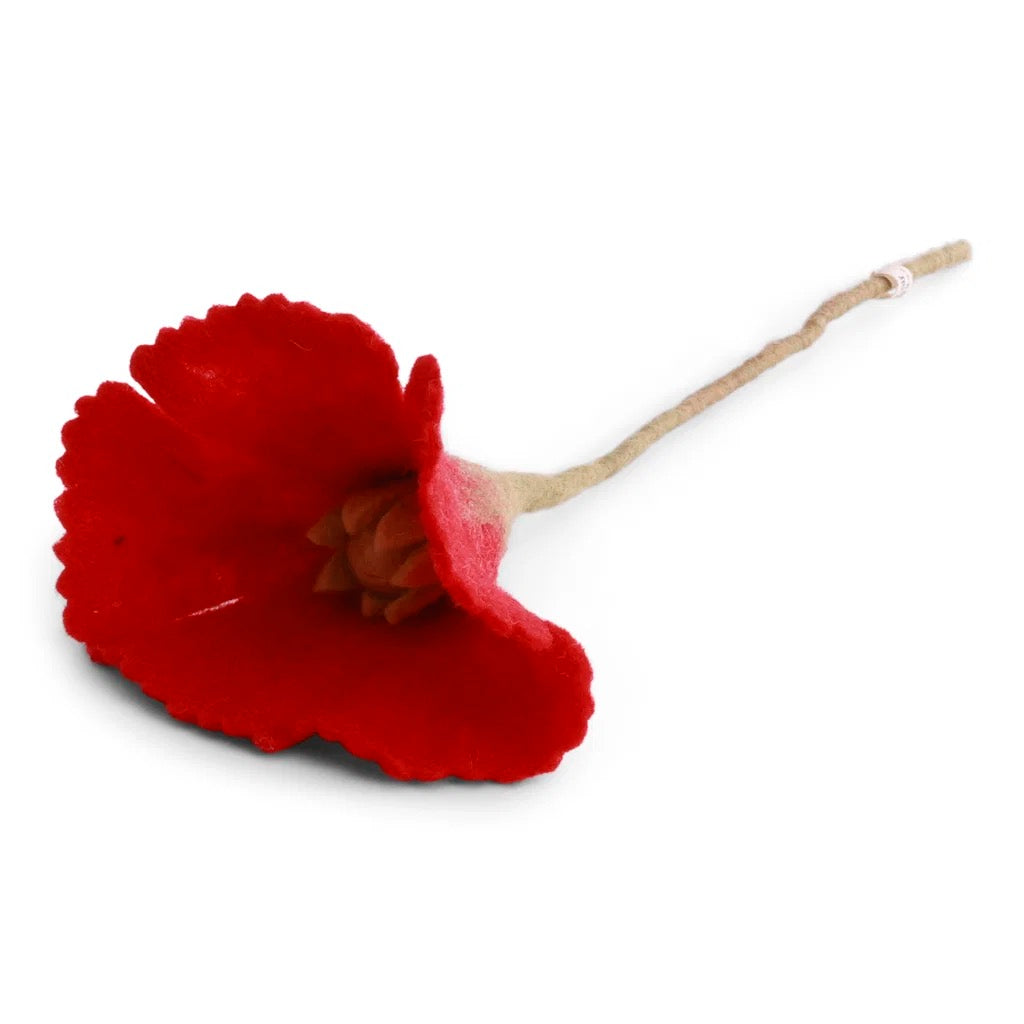 Poppy Flower - Bright Red