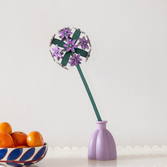 Allium