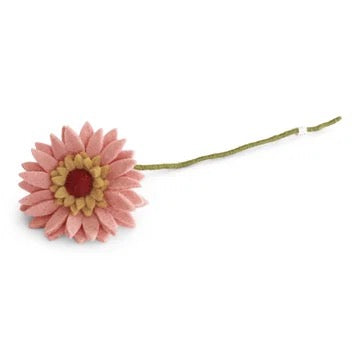Gerbera - perzikroze