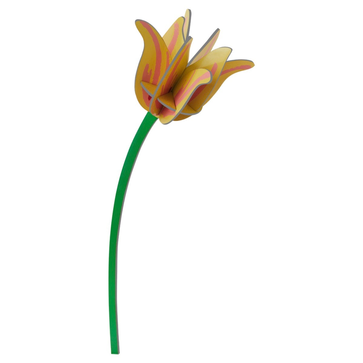 Yellow Tulip