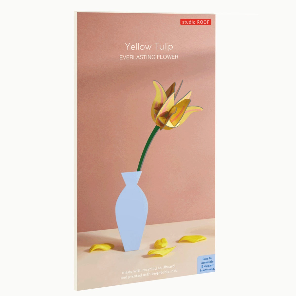 Yellow Tulip