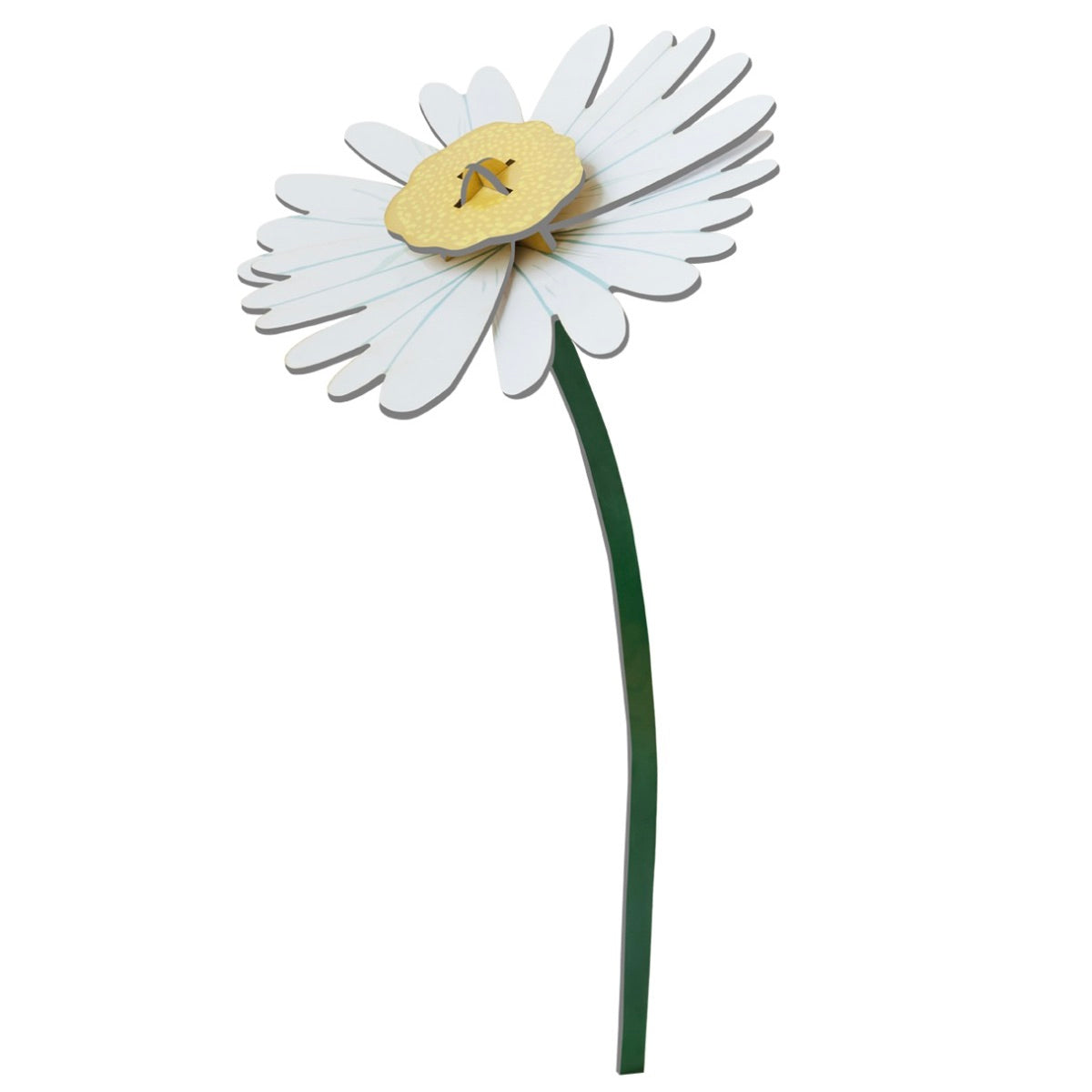 Daisy