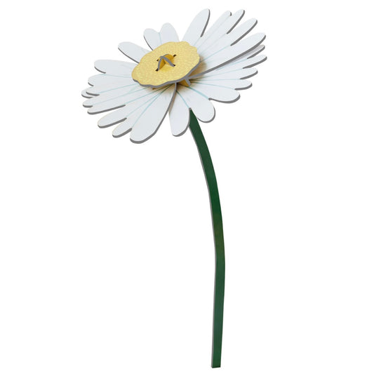 Daisy