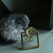 Load image into Gallery viewer, Mini lijst Mia Poppy
