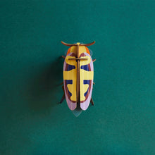 Load image into Gallery viewer, Mango Flower Beetle
