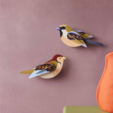 Afbeelding in Gallery-weergave laden, Sparrows
