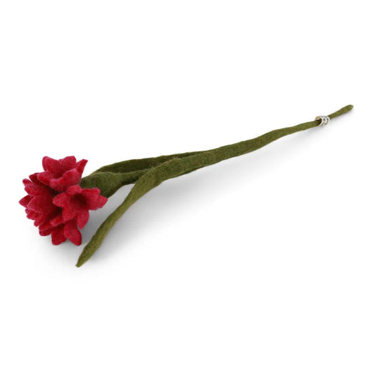 Korenbloem Cerise