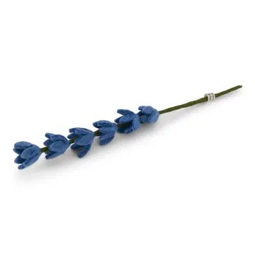 Lupine Felblauw