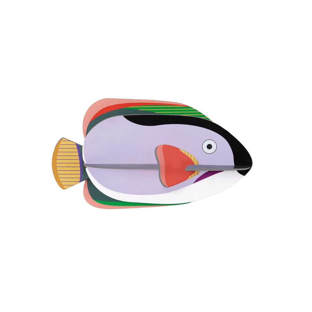 King Angelfish