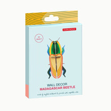 Afbeelding in Gallery-weergave laden, Madagascar Beetle
