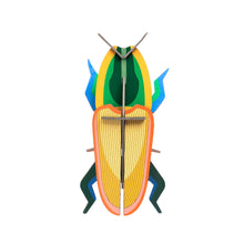 Afbeelding in Gallery-weergave laden, Madagascar Beetle
