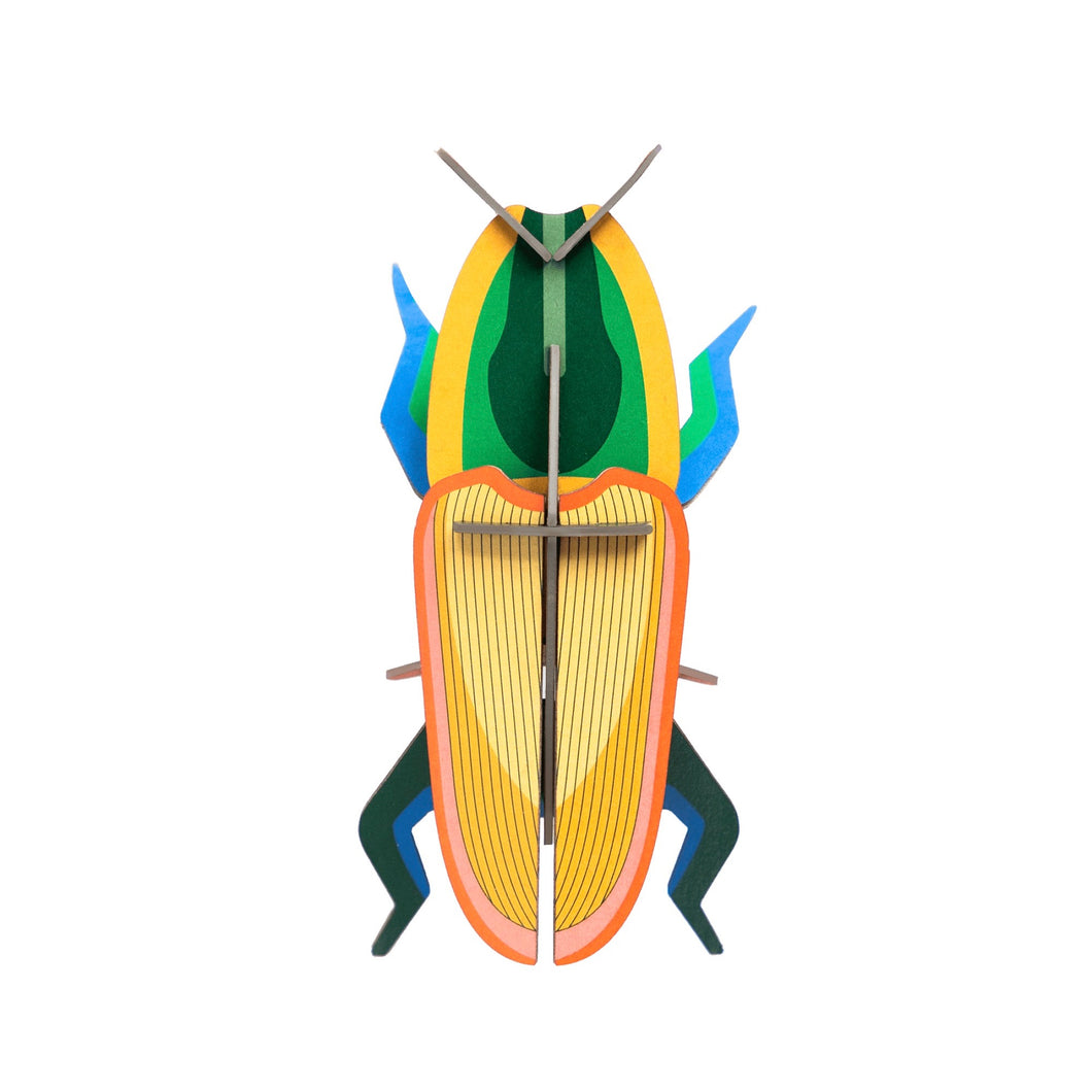 Madagascar Beetle